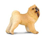 Collecta