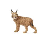 Collecta - Lince -L- 88565 (90188565)