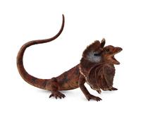 CollectA - Figura de lagarto con cuello de volante, réplica de animal realista,