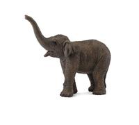 CollectA - Figura realista de elefante asiático, réplica de animal, tamaño peque