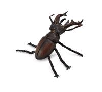 CollectA Figura realista de escarabajo ciervo, réplica de animal, edades medias