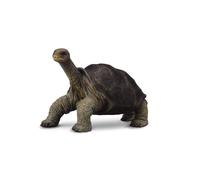 CollectA Figura realista de la tortuga de la isla, réplica de animal, George, ed