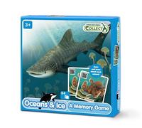 Collecta juego de memoria - océano animales juego de memoria educativo