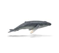 Collecta | Juguete realista de animales marinos, figura de animal coleccionable para juego imaginativo, regalo para niños a partir de 3