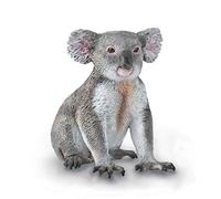 Collecta Koala- M - 88940 Figura Coleccionable (Deqube 90188940)