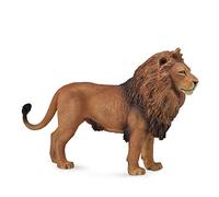 Collecta- Leon Africano L Animales, Multicolor (DEQ88782)