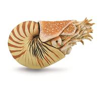 Collecta Nautilus POMPILIUS - XL - 88907