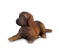 CollectA - Réplica de animal realista, figura de cachorro de gran danés, edades