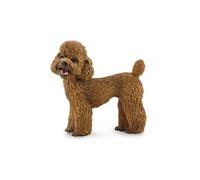 CollectA Réplica de animal realista Figura de caniche Edad media 3 años en adela