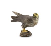 CollectA - Réplica de animal realista, figura de halcón peregrino, tamaño pequeñ