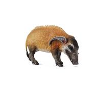 CollectA - Réplica de animal realista, figura de Red River Hog, grande, a partir