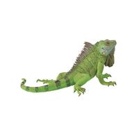 CollectA Réplica realista de animal Figura de iguana Extra grande Edades de 3 añ