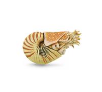 CollectA Réplica realista de animales Nautilus Pompilius Figura extra grande Eda