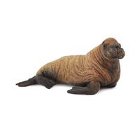CollectA Réplica realista de un animal, figura de ternero de morsa, edades media