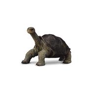 Collecta - Tortuga Gigante De Pinta -M- 88619 (90188619)