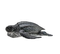 Collecta - Tortuga Laud -M- 88680 (90188680)