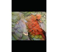 Collected Poems Volume Seven 2022-2025