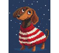 Collection D'Art Kit de punto de cruz contado, perro salchicha a rayas, BC8125, DMC Mouline y Aida, juego de telas de costura para principiantes