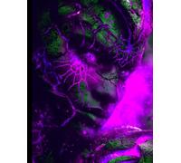 College-Ruled Notebook _ 150 Stylized Pages _ FIRESTORMER - By: Sage Holloway: Molten Motion _ 8.5" x 11" Page Size