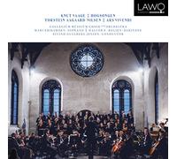 Collegium Musicum Choir and Orchestra - Knut Vaage: Hogsongen / Ars Vivendi