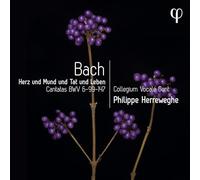 Collegium Vocale Gent / Philippe Herreweghe - Herz Mund Tat Und Leben