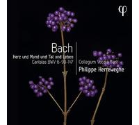 Collegium Vocale Gent / Philippe Herreweghe - Herz Mund Tat Und Leben