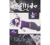 Collide - Like the Hunted [Reino Unido] [DVD]