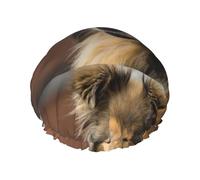 Collie de pelo largo Lassie Perros Perros grandes y esponjosos Mascotas,Gorro de ducha, gorro de noche, gorro de baño elástico impermeable de doble capa, reutilizable para el cabello.