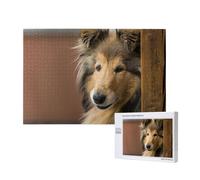 Collie de Pelo Largo Lassie Perros Perros Grandes y esponjosos Mascotas,Rompecabezas de Madera de 1000 Piezas para Adultos y Adolescentes.