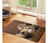 Collie de Pelo Largo Lassie Perros Perros Grandes y esponjosos Mascotas,Tapete para Comida de Mascotas, manteles Individuales de Cuero sintético para Gatos y Perros,30x45cm