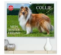 Collie - Mein bester Freund (hochwertiger Premium Wandkalender 2026 DIN A2 quer), Kunstdruck in Hochglanz: Eine der schönsten Hunderassen der Welt auf 13 zauberhaften Fotos