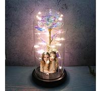 Collienght Foto personalizada luces claveles flor conservada cristal rosa luces Día de la madre regalos de cumpleaños para mamá(Vistoso)