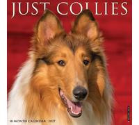 Collies 2027 Wall
