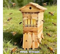 Colmena De Abejas, Caja De Madera De Flujo Automático De Miel Con Dosificador Automático De Miel, Cedro Tratado Con Cera, Uniones De Espiga Y Mortaja, Cosecha De Miel Sin Abrir La Colmena