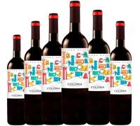 Coloma Tocando Madera, vino tinto joven con crianza en roble que combina Pinot Noir y Garnacha en una propuesta fresca, suave y con expresión afrutada| 6 botellas