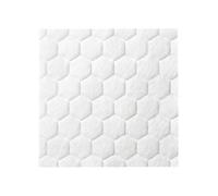 Coloplast Biatain Apósito Fibra 10x10cm 10uds