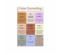 Color Correcting Poster Makeup Concealer Reference Guide for Makeup Artist Beauty School Studio Decor(Framed,16X24inch(40X60cm))