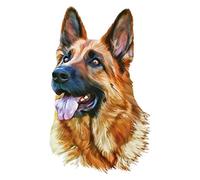 Color de transferencias, DIN A4, Textiles como Camisetas & bolsillos con banda de motivos verzieren | Transferencia de imágenes rápido y fácil planchado | DIY textil Diseño