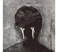 Color Decay [Vinilo]