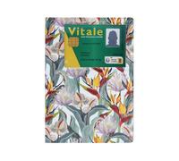 Color Pop - Funda con ventana para tarjeta vital, fabricación francesa, PVC, ordenanzas, tarjeta mutua, hojas de enfermedad, 15,8 x 11,7 cm, multicolor, 15,8 x 11,7 x 0,4 cm, Caso de salud