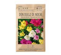 Color y Decoración Natural para Jardín con Semillas de Don Diego de Floración Veraniega - DECOALIVE