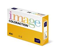 Coloraction 838A 160S 5 - Papel de colores (DIN A4, 160 g) color amarillo dorado