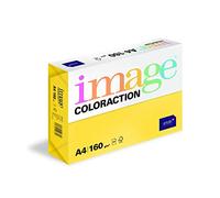 Coloraction 838A 160S 7 Antalis - Papel coloreado (A4, 160 g/m²), color amarillo