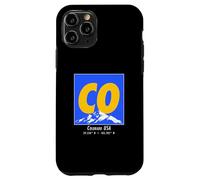 Colorado Souvenir CO Vintage Montañas Rocosas Viajes Carcasa para iPhone 11 Pro