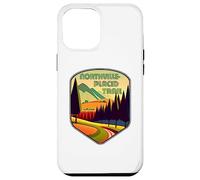 Colores de Northville-Placid Trail Carcasa para iPhone 12 Pro Max
