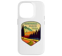 Colores de Northville-Placid Trail Carcasa para iPhone 14 Pro
