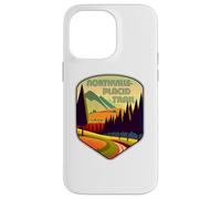 Colores de Northville-Placid Trail Carcasa para iPhone 14 Pro Max