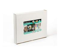 Colorfin, PanPastel Artists Pastels, 20-Color Kirsty Rebecca General Realism Kit (30254)