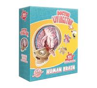 Colorful Brain Puzzle, Educational Science Game, Interactive Learning Toy, 100 Piece Jigsaw Challenge, Fun Classroom Activity Project, Puzzle Set for Boys, Girls, School