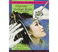 Colorful Introduction to the Anatomy of the Human Brain, A: A Brain and Psychology Coloring Book